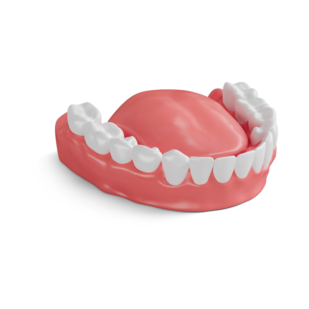 Model of a full arch of natural-looking teeth